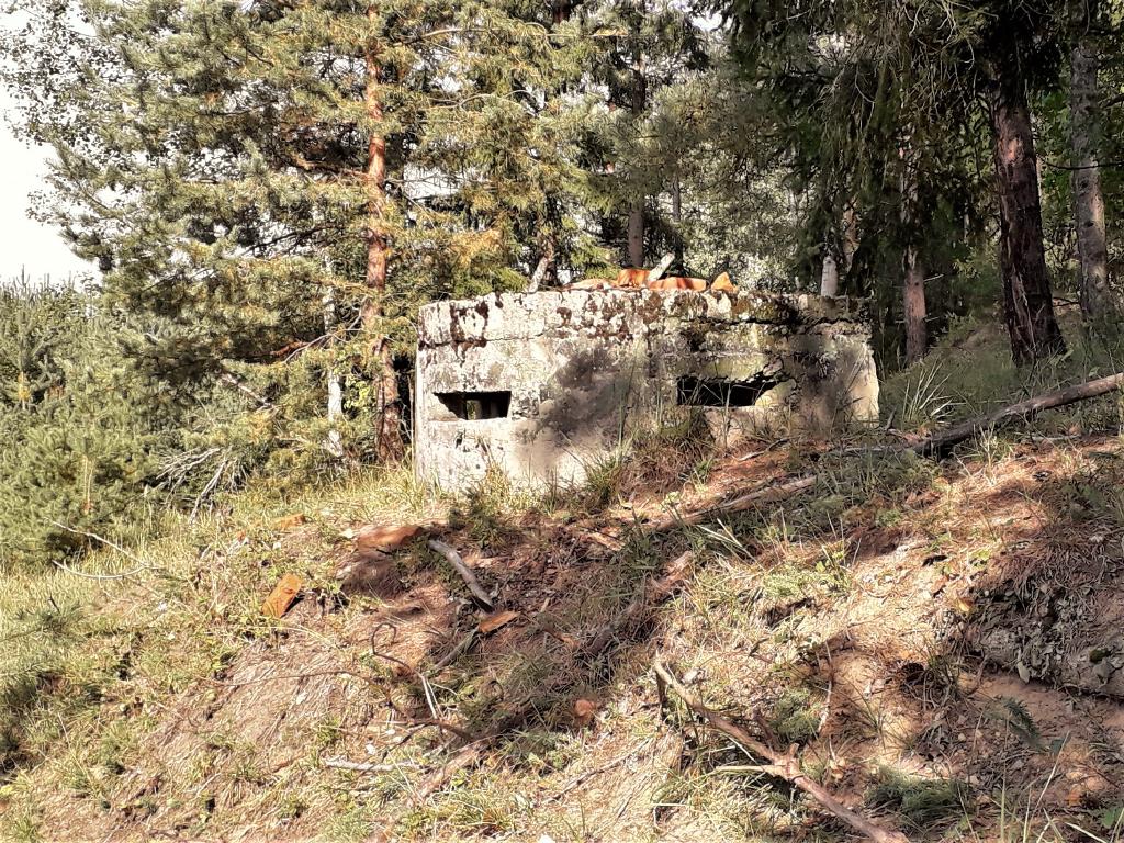 pepajs.cz